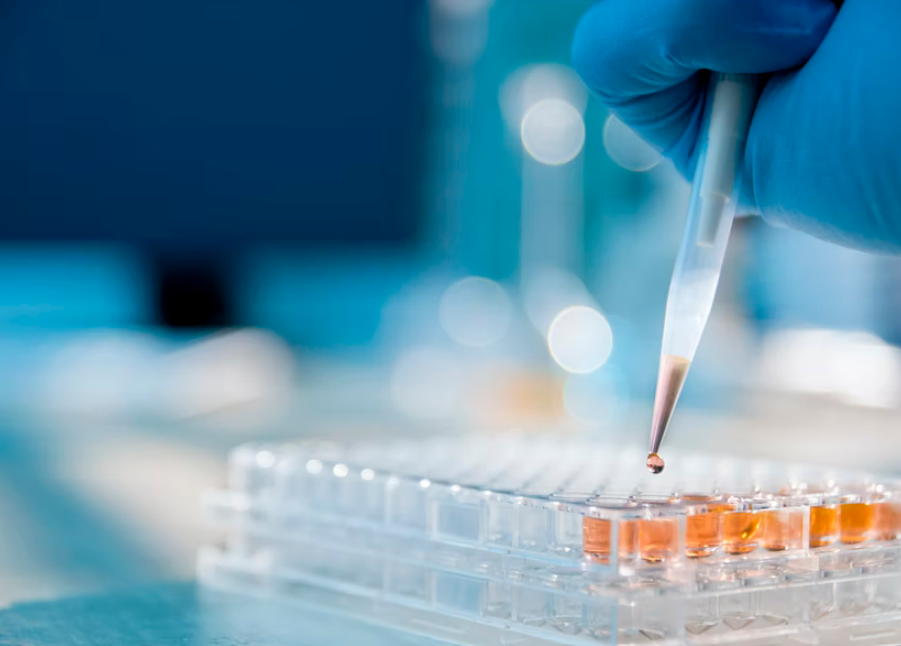 ترکیبات طلا و تحریک سیستم ایمنی